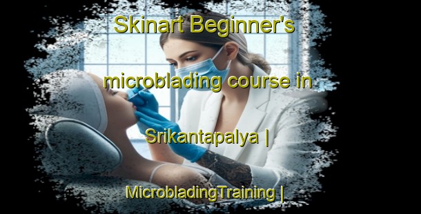 Skinart Beginner's microblading course in Srikantapalya | MicrobladingTraining | MicrobladingClasses | SkinartTraining-India